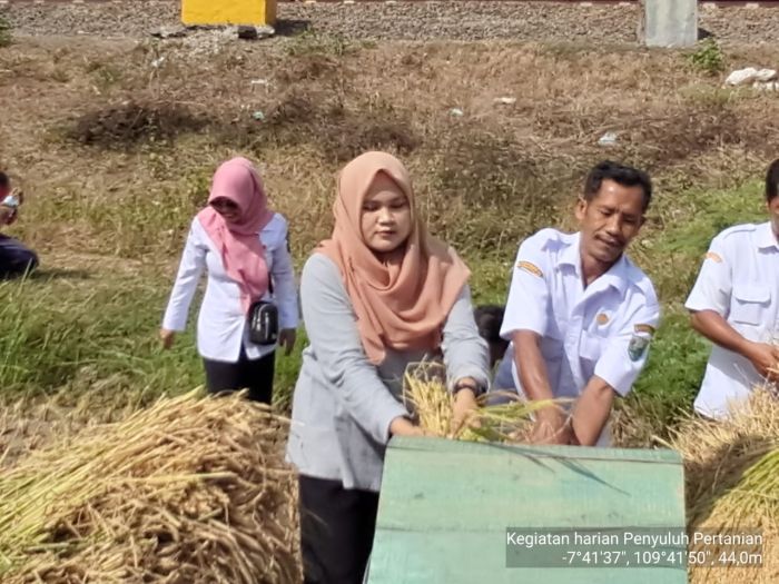 Peningkatan Hasil Pertanian: Penyuluhan Musim Panen di Desa Wonosari 01