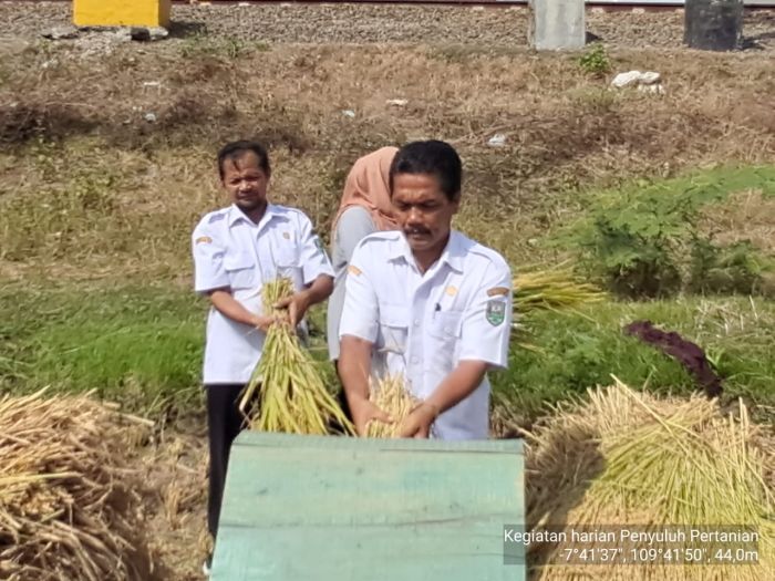 Peningkatan Hasil Pertanian: Penyuluhan Musim Panen di Desa Wonosari 02